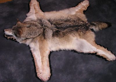Wolf Rug