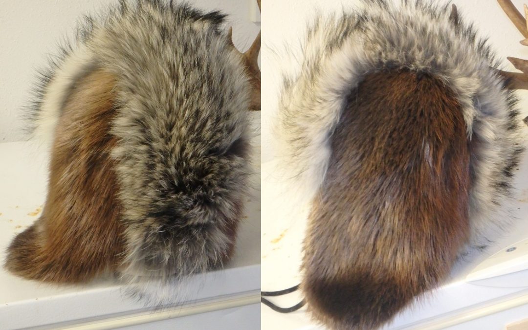 Wolf and Beaver Trapper Hat