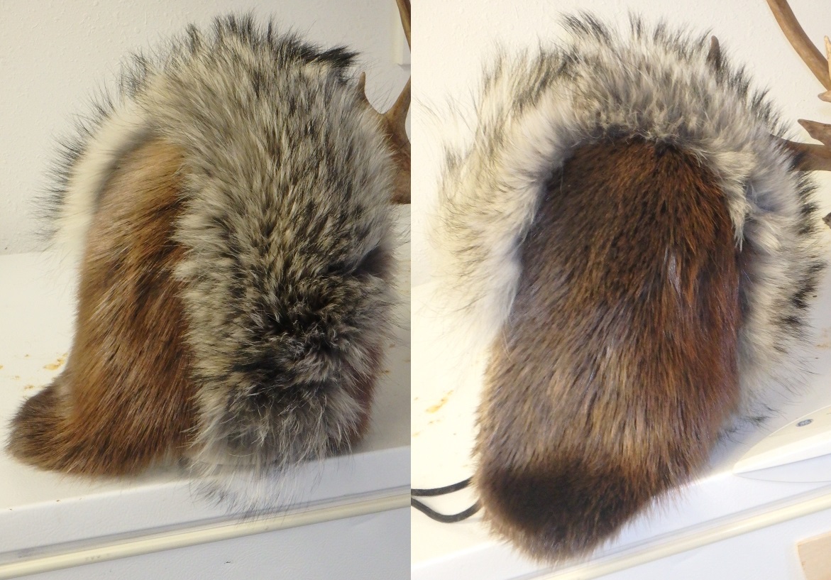 Wolf and Beaver Trapper Hat Alaska Precision Taxidermy