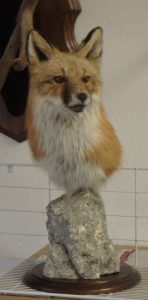 Red Fox Pedestal