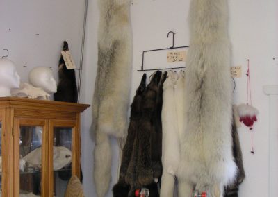 Furs / Hides for Sale